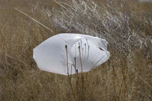 field trash plastic bag plastic