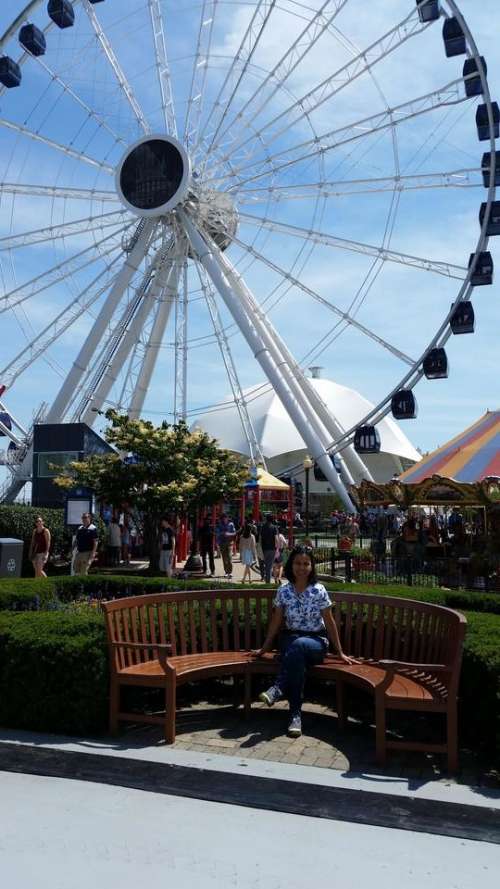 Ferris wheel amusement park ride rides fair 