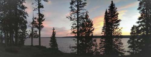 Yellowstone Lake pine trees sunset reflection