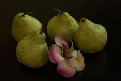 Still Life Pear Petal Hibiscus Plumeria