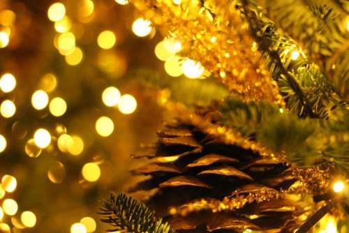 christmas weihnachten noel tree christmas 
tree