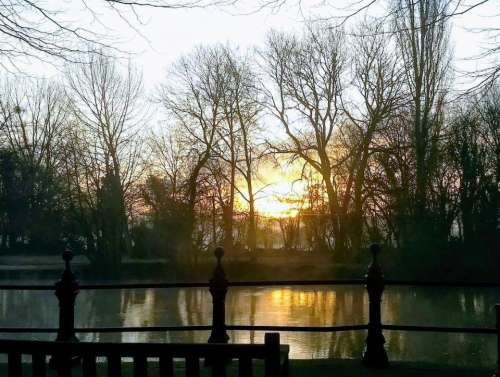 sunrise river thames trees golden