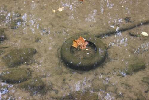 water clear water leaf tire tire underwater
