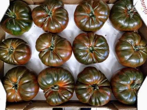 green tomatoes box Symmetry