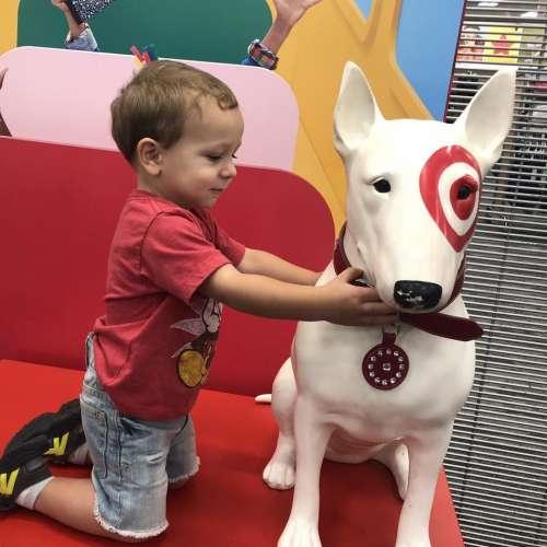 Target Spud Target Dog Shopping Toddler
