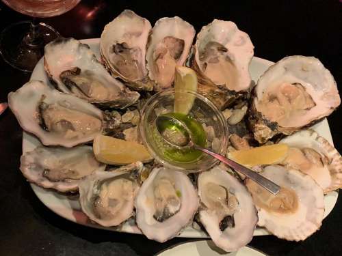 Seafood oysters 
