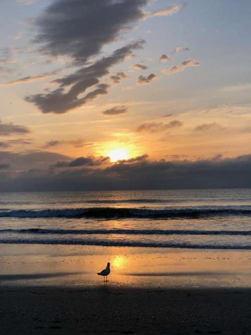 sunrise sunset water seashore beach