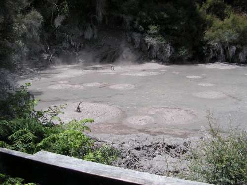 Active mud lake Rotorua North Island New Zealand New Zealand geothermal
