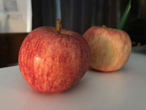 Apple fruit