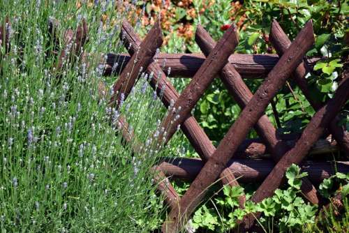 fence lavendel garden #diamondshaped