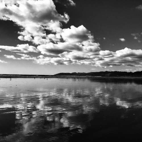 Black and White Landscape  photography Sand Dunes Beach 