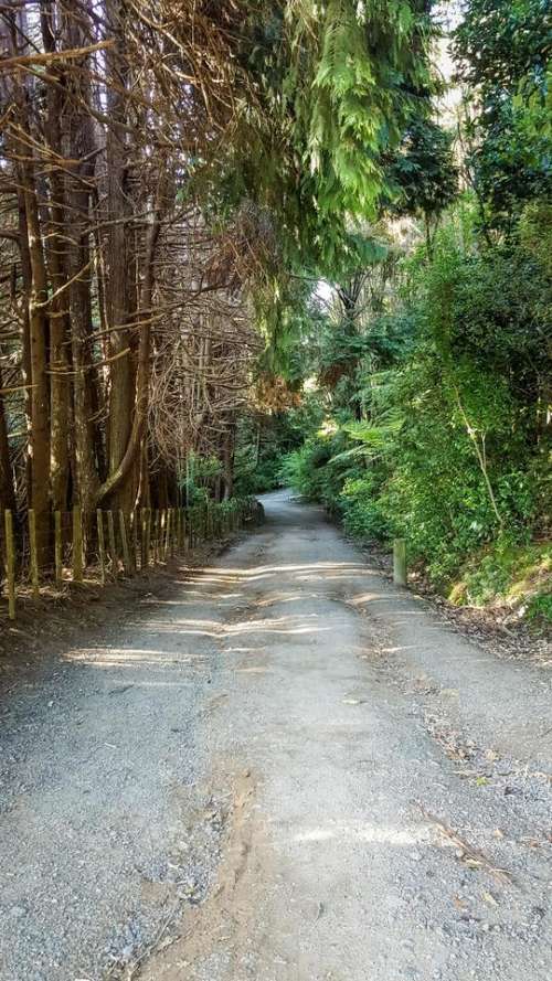 path reserve road park New_Zealand