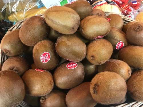 kiwi food fruit  