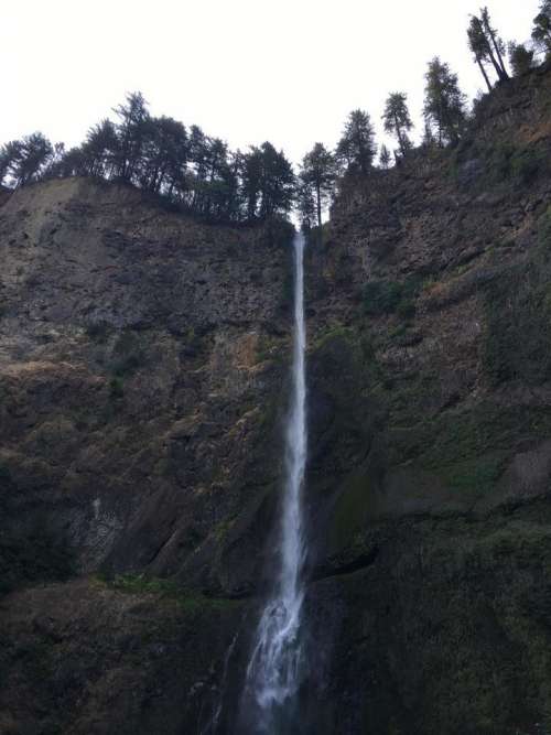multnomah falls columbia river gorge