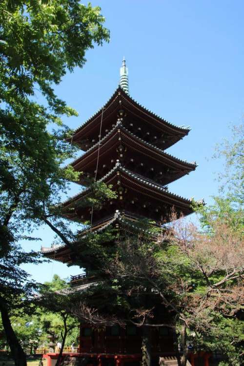 5 story pagoda Japan 