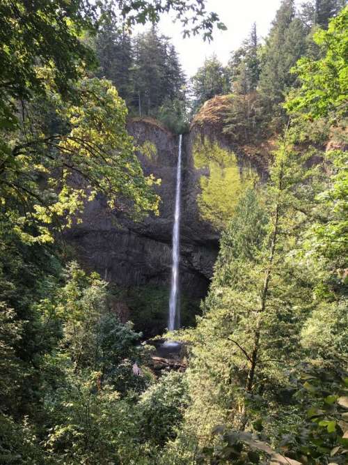 latourell falls columbia river gorge