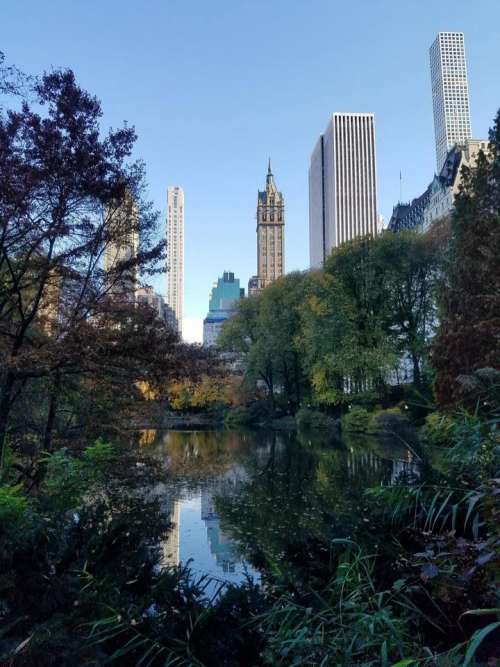 Central Park Autumn New York City travel NYC