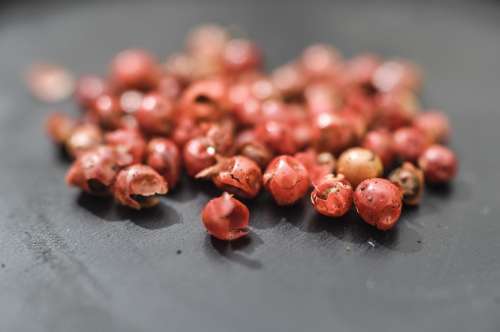 Rose pepper spices free image