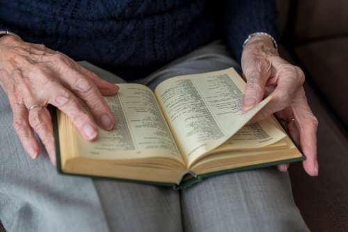 Elderly woman reading a book free image