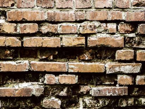 Texture Brick Wall free image