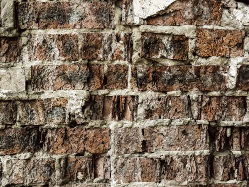 Texture Brick Wall free image