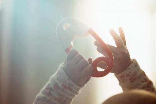 Newborn Baby Hands with a Toy
