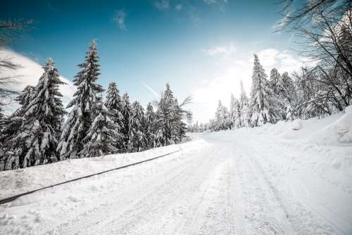 Snow Covered Road