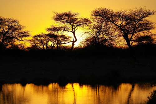 Africa Sunset Landscape