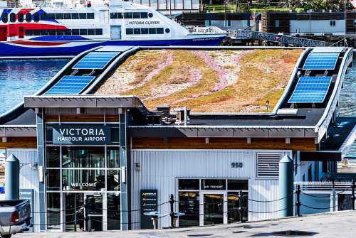 Airport Victoria Roof Grass Ecological