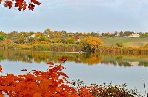 Autumn Ukraine Nature Landscape Trees Sky River