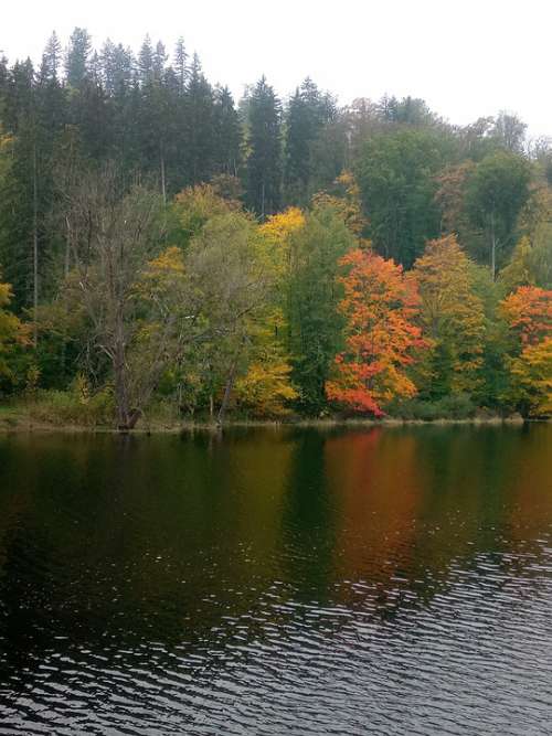 Autumn Forest Thuringia Germany Forest Lake Trees