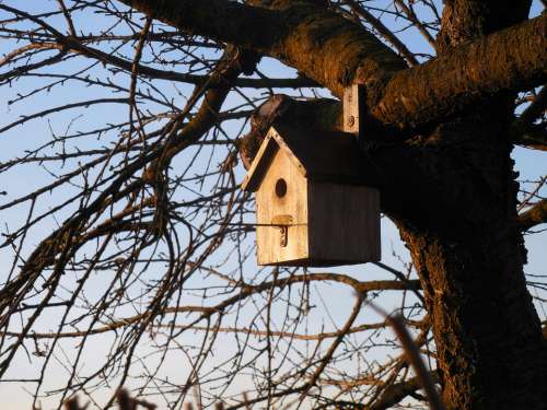 Aviary Bird House Tree Garden Nesting Box Nest