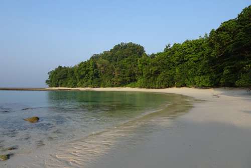Beach Sea Radhanagar Forest Littoral Coastal