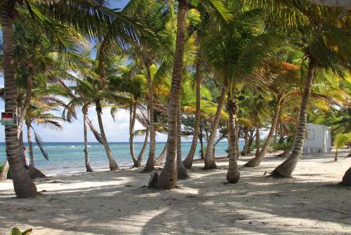 Beach Tropical Caribbean Sand Exotic Coast