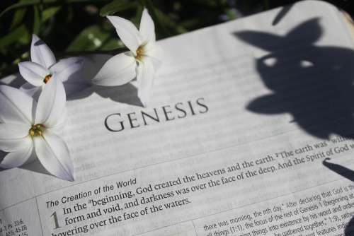 Bible Creation Genesis Religion Nature Garden