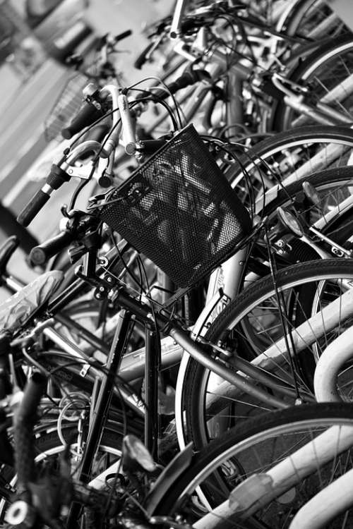 Bicycles Bicycle Basket Downtown Park Bike Racks