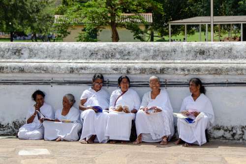 Buddhist Buddhism Religion Women Sitting White
