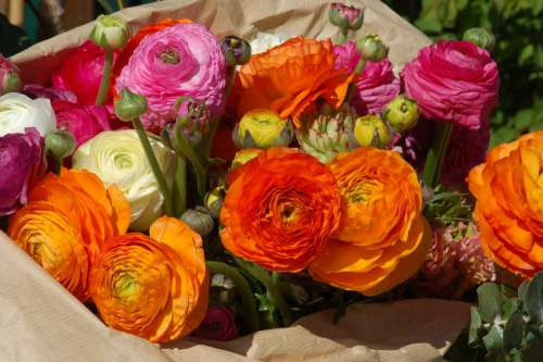 Buttercups Bouquet Of Flowers Flowers Flower Spring