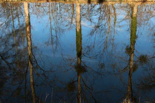 Channel Reflection Nature Tourism Tree France