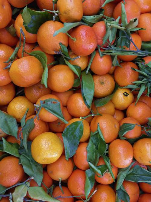 Clementines Fruit Vitamins Fresh Healthy Fruity