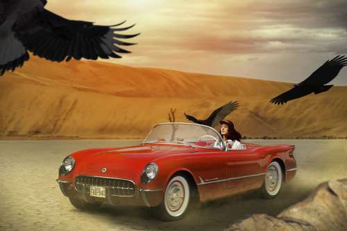 Corvette Car Vulture Desert Fantasy