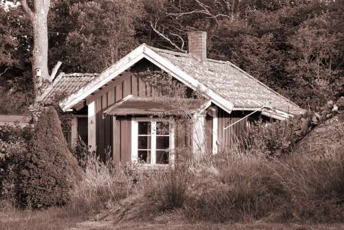 Cottage Old Wooden Cottage By Rural Tree Nature