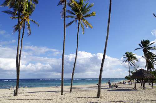 Cuba Beach Caribbean Sea Tropical Vacations