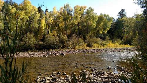 Dolores Colorado River Trout Fishing