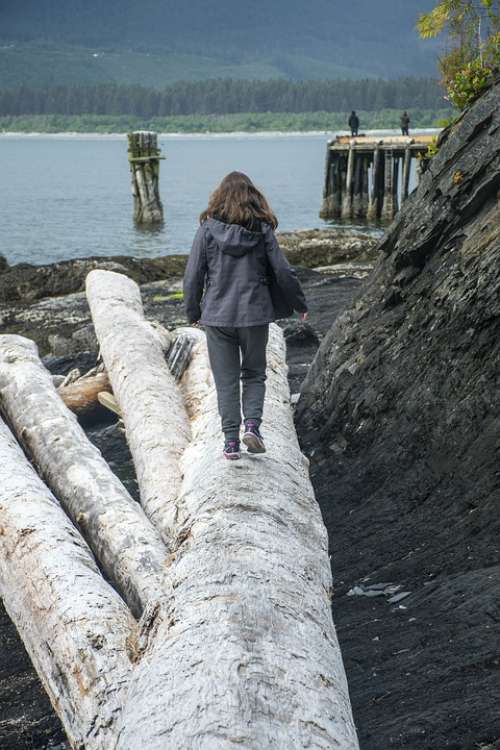 Driftwood Walking Rocks Beach Sea Canada