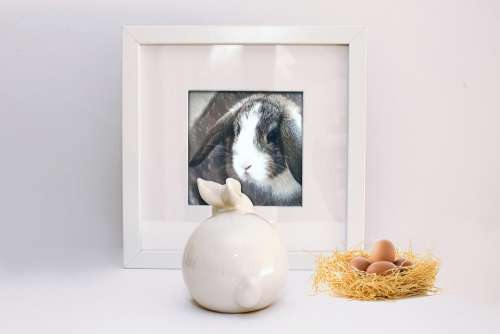 Easter Easter Image Image Hare Easter Bunny