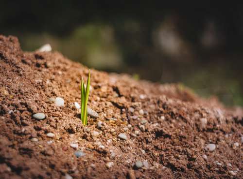 Engine Bud Earth Soil New Beginning Spring Nature