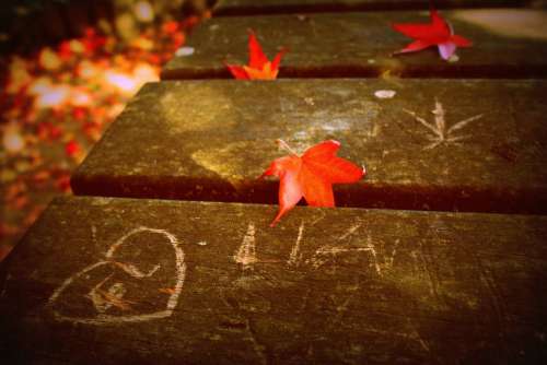 Fall Graffiti Table Leaf Wood Red Love