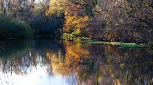 Fall Forest Water Romantic Nature Landscape