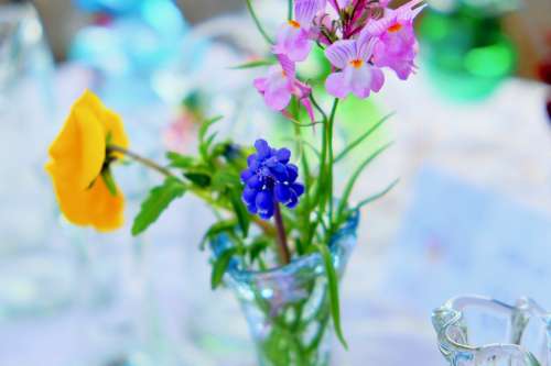 Flowers Grass Bottle Crystal Spring Table